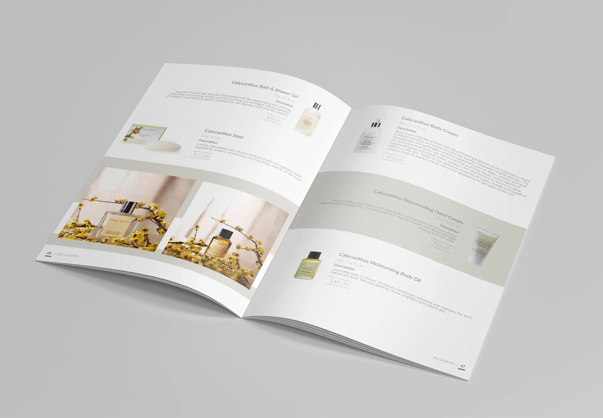 Mockups Design