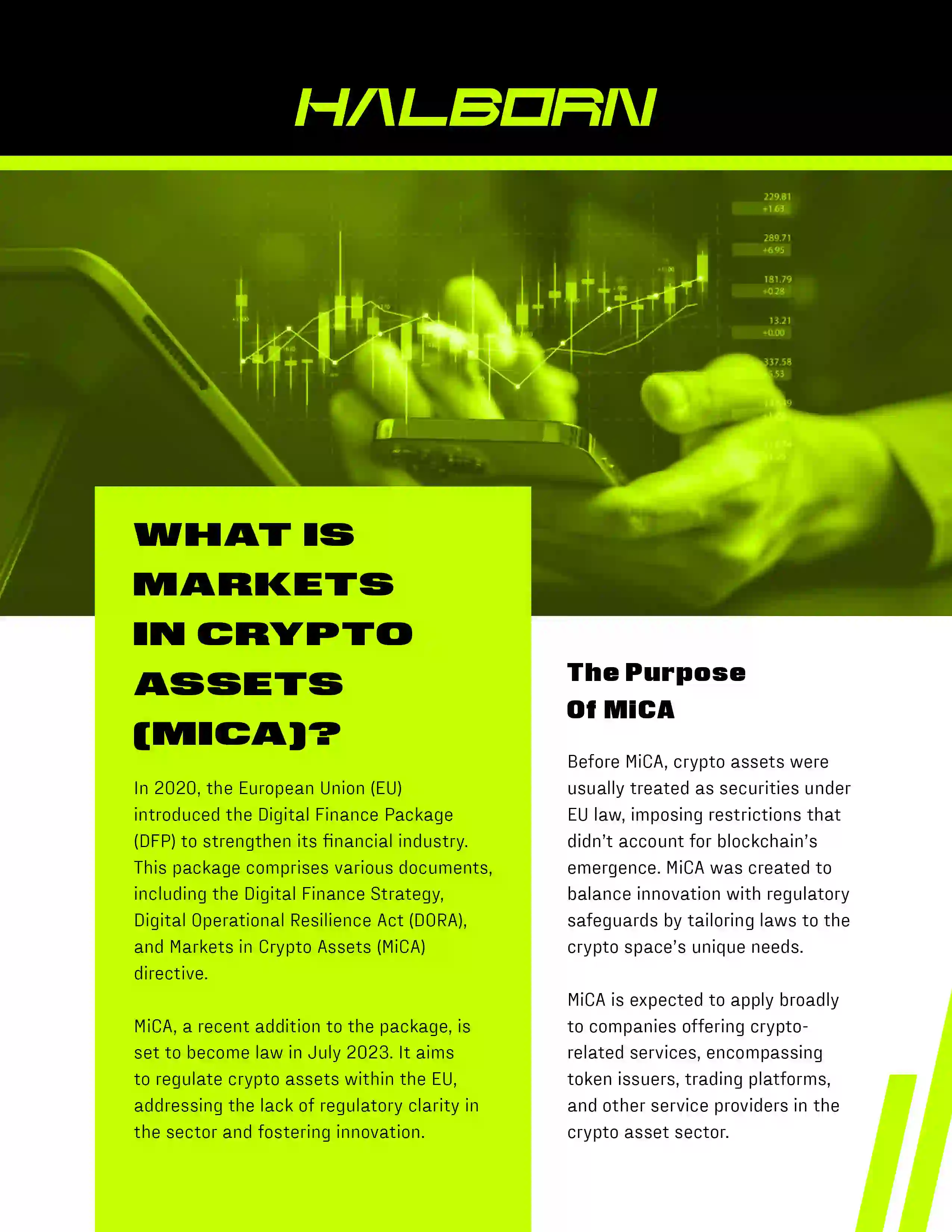 Halborn White paper-01